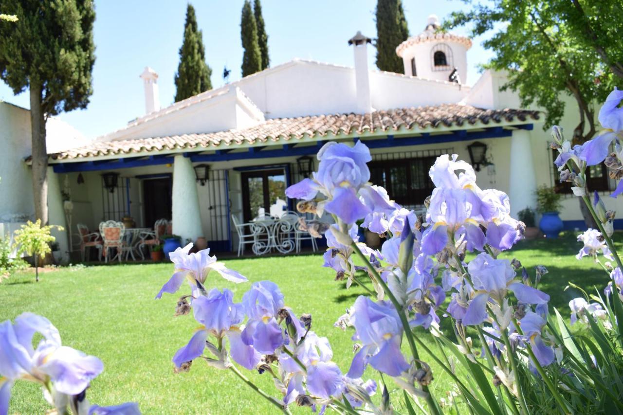 Venta Del Celemin Guest House Ossa de Montiel Exterior foto